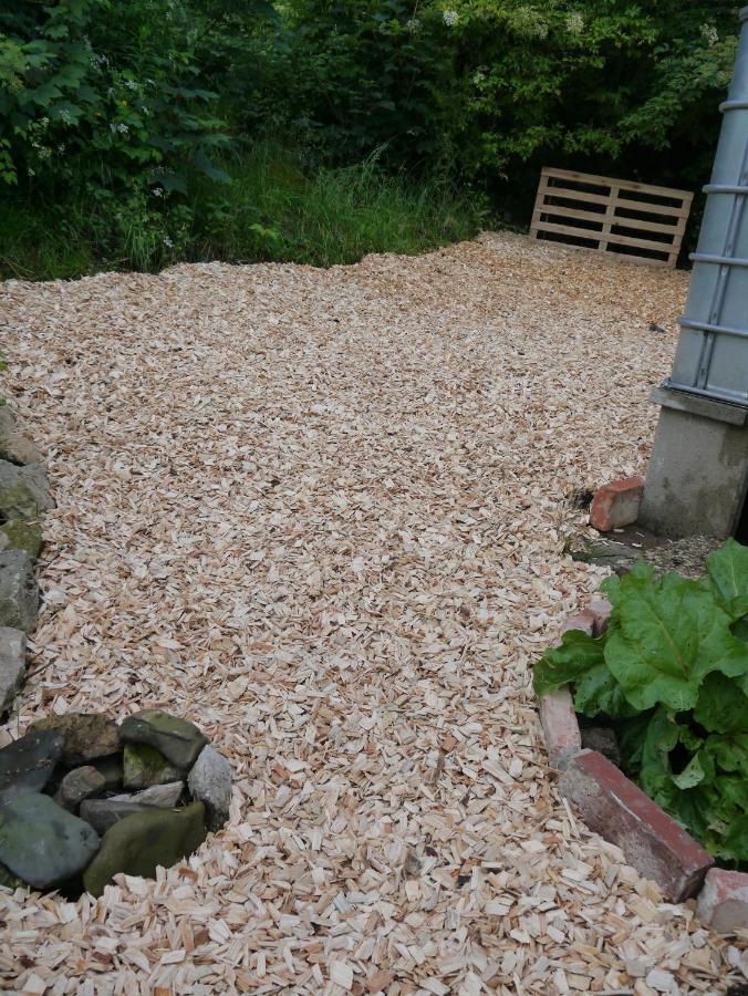 Villa Elfenhaeuschen Mit 3 Dtv Sternen Ausgezeichnet Bad Harzburg Exterior foto