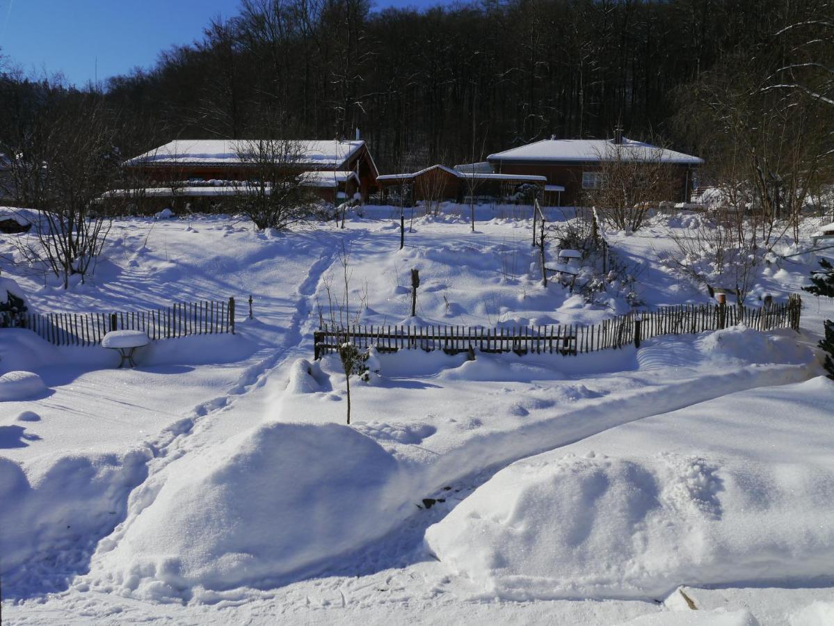 Villa Elfenhaeuschen Mit 3 Dtv Sternen Ausgezeichnet Bad Harzburg Exterior foto