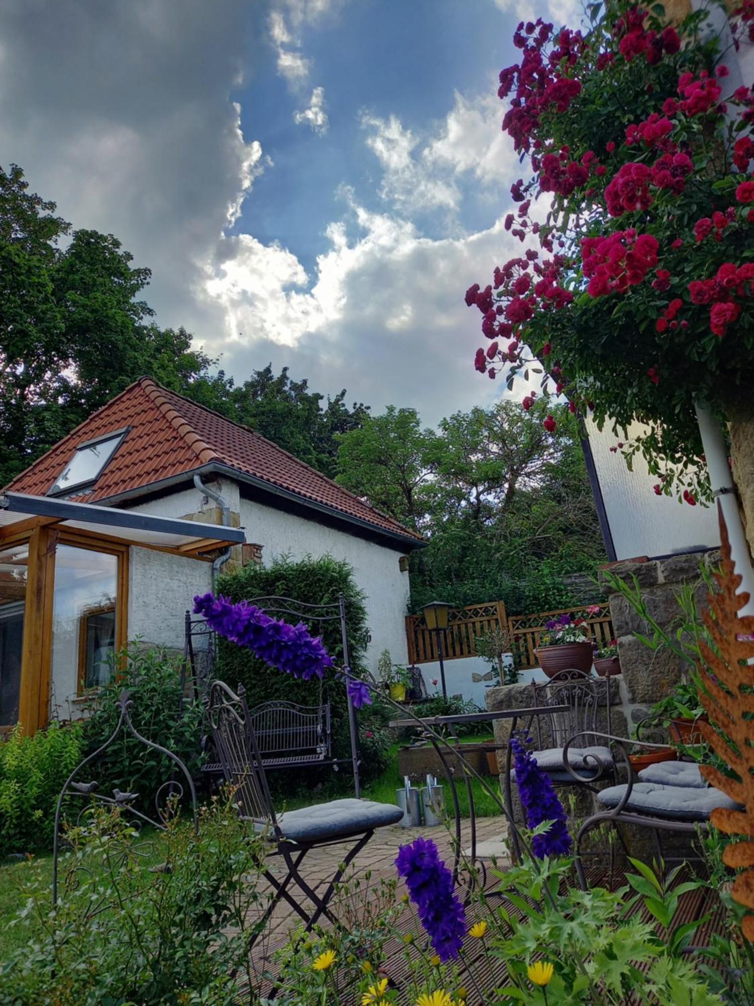 Villa Elfenhaeuschen Mit 3 Dtv Sternen Ausgezeichnet Bad Harzburg Exterior foto