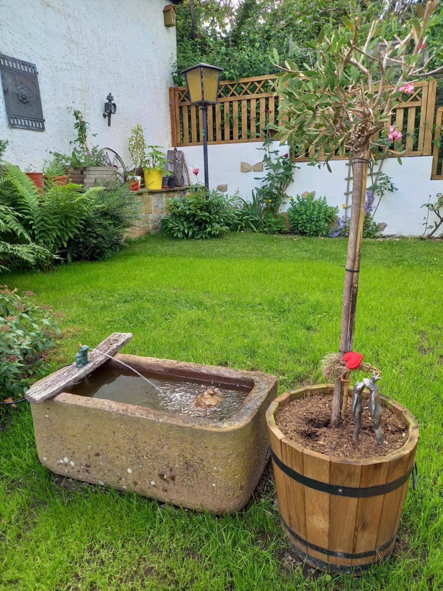 Villa Elfenhaeuschen Mit 3 Dtv Sternen Ausgezeichnet Bad Harzburg Exterior foto