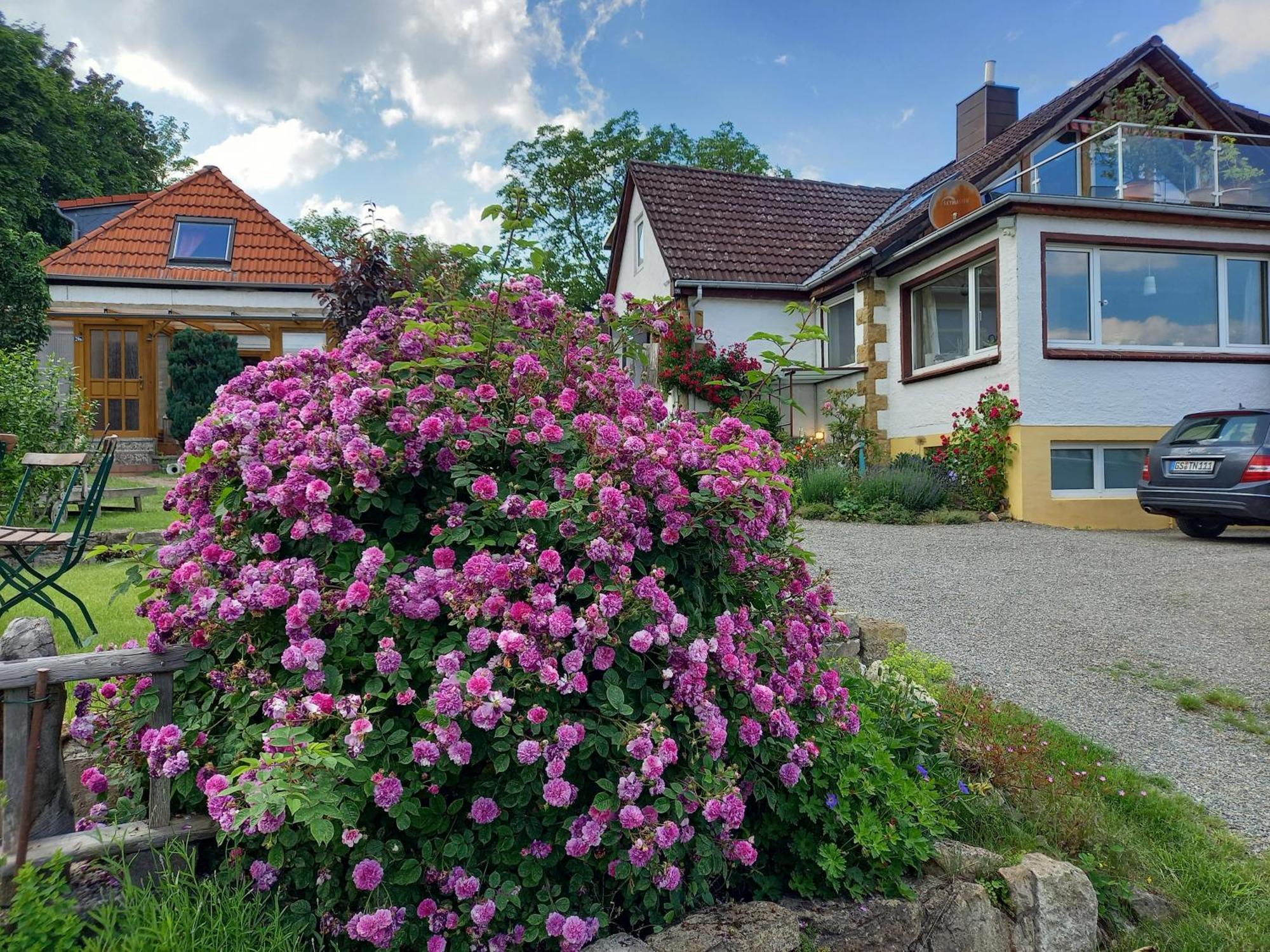 Villa Elfenhaeuschen Mit 3 Dtv Sternen Ausgezeichnet Bad Harzburg Exterior foto